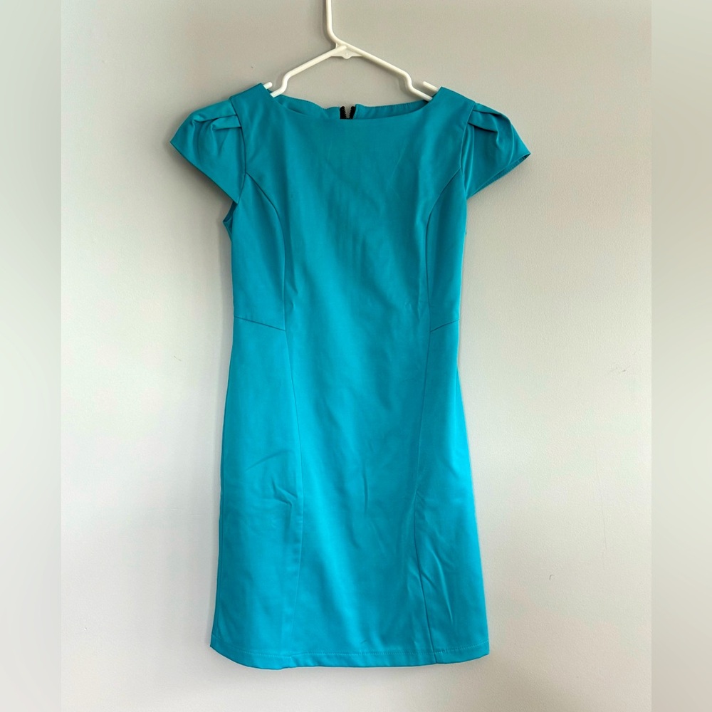 Light blue mini dress with petal sleeves and metal back zipper